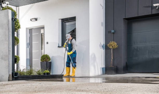 Best Oil Spill Cleanup  in Vernon, AL